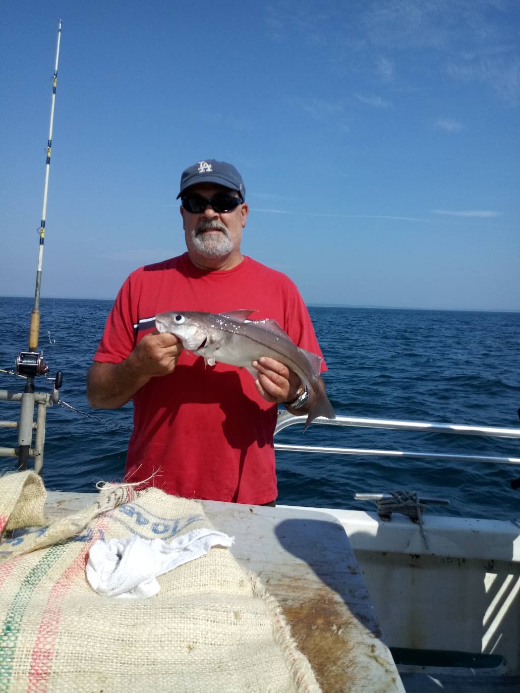 3A6EF90B-EE31-4983-A65D-B55A8C08C760