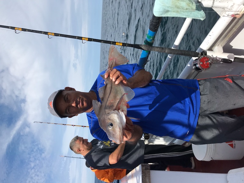 DADBD8DB-DE4F-4969-8B45-4EE718202A1F