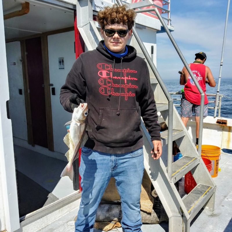 a person holding a kite