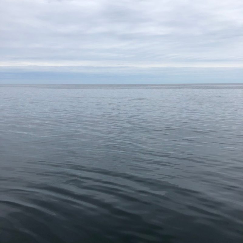 a large body of water