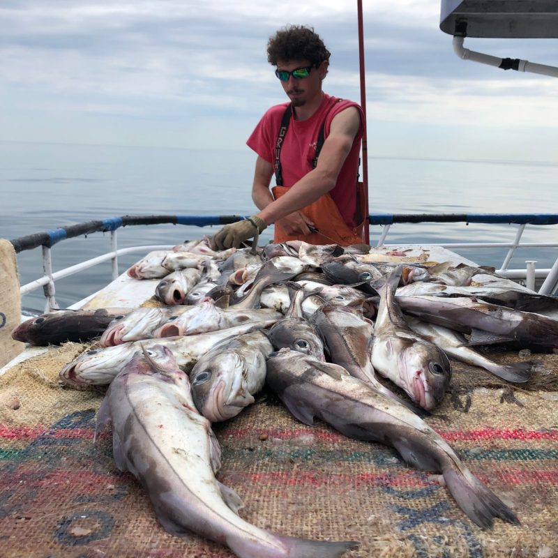 a person sitting next to a body of water