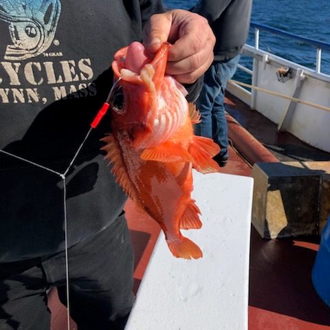 a person standing in front of water