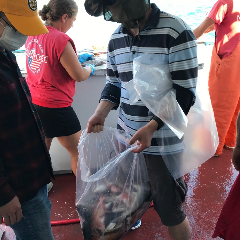 a group of people standing around each other