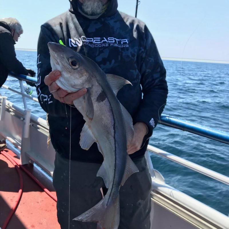 a man holding a fish on a boat