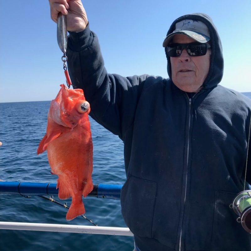 a man holding a fish in the water