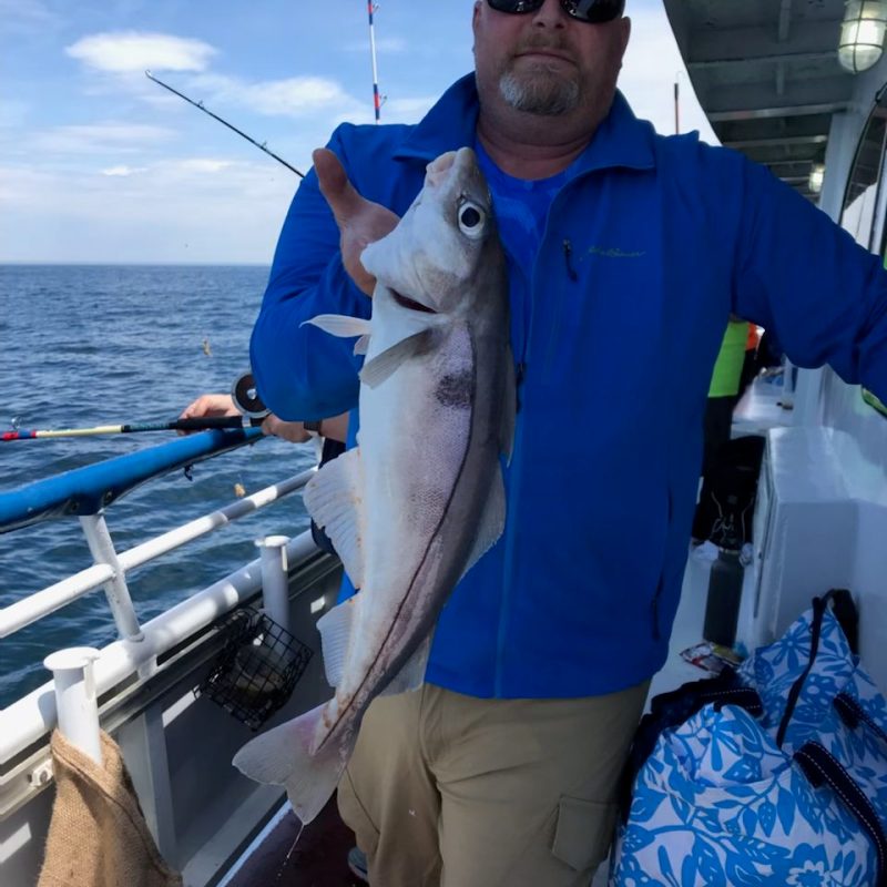 a person holding a fish on a boat