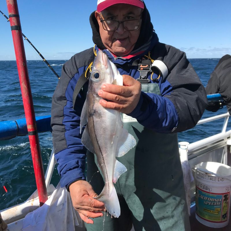 a person holding a fish on a boat