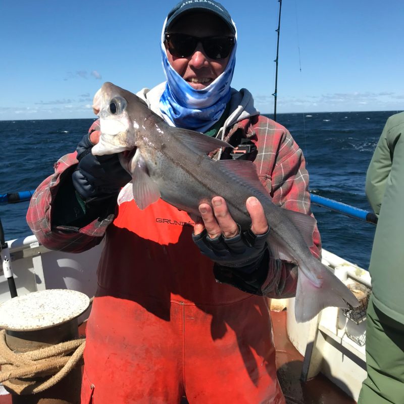 a person holding a fish on a boat in the water
