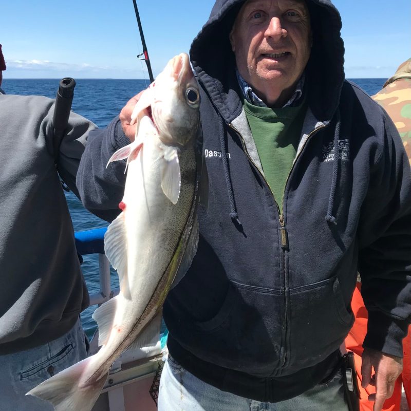 a person holding a fish