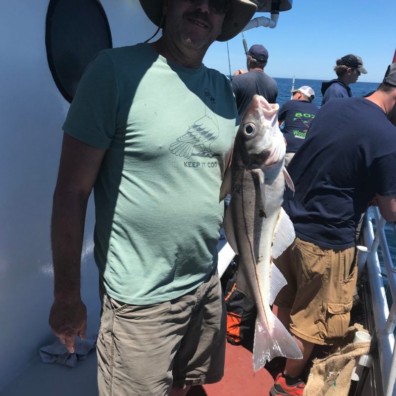 a person holding a fish