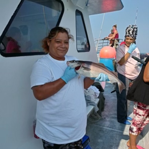 a group of people standing around a plane