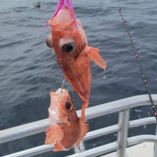 a bird sitting on a boat in the water