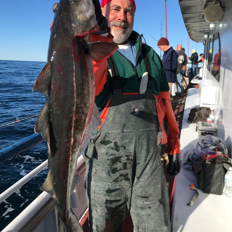 a person holding a fish on a boat