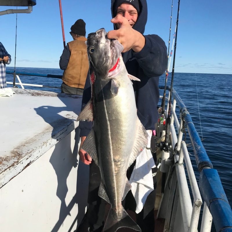 a person holding a fish in the water