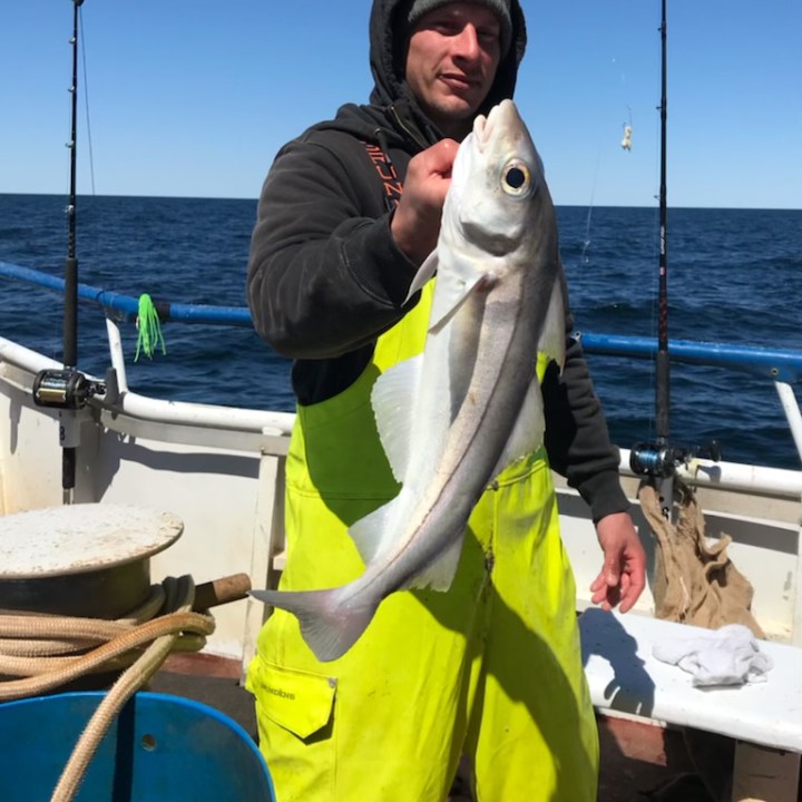 a person holding a fish in the water