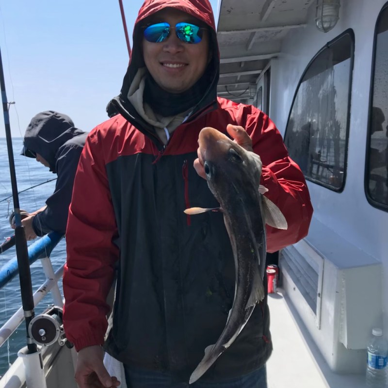 a man holding a fish