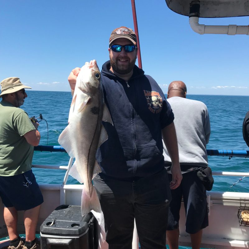 a group of people standing next to a fish in the water