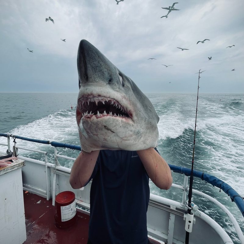 a person holding a fish on a boat in a body of water