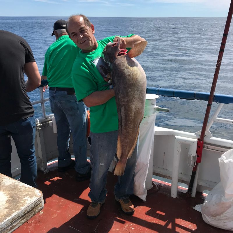 a person holding a fish in the water