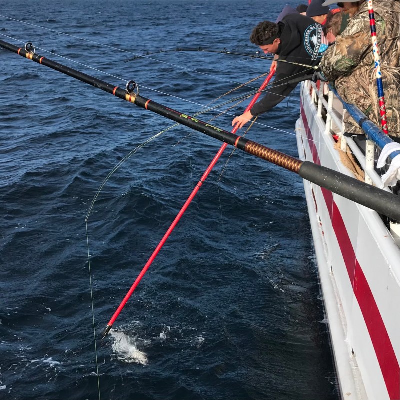 a flag hanging on a pole next to a body of water