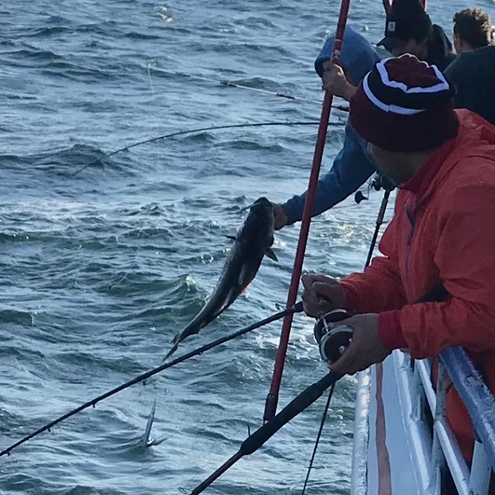a person standing next to a body of water