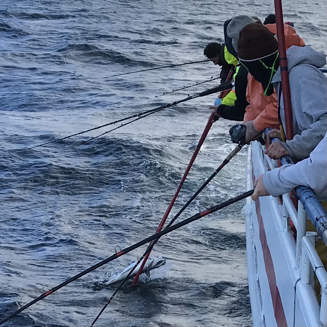 a man water skiing behind a boat