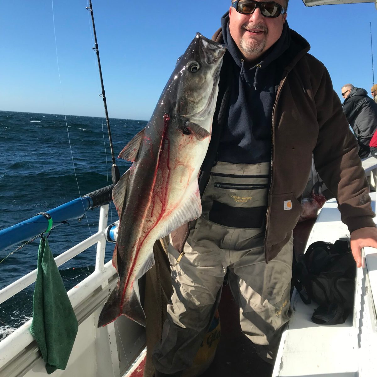 a person holding a fish