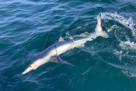 a person riding a wave on a surfboard in the water