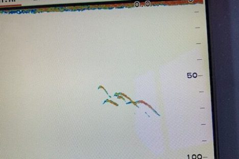 a screen shot of a computer