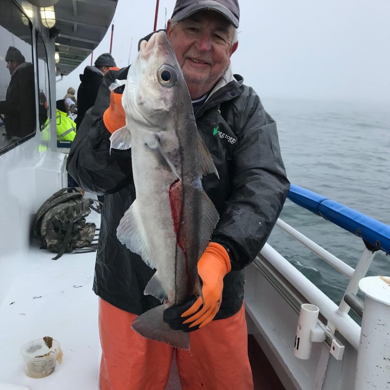 a person holding a fish on a boat