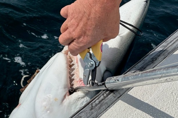 a man holding a fish in the water