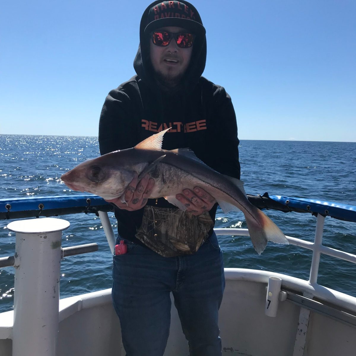 a person holding a fish on a boat in a body of water