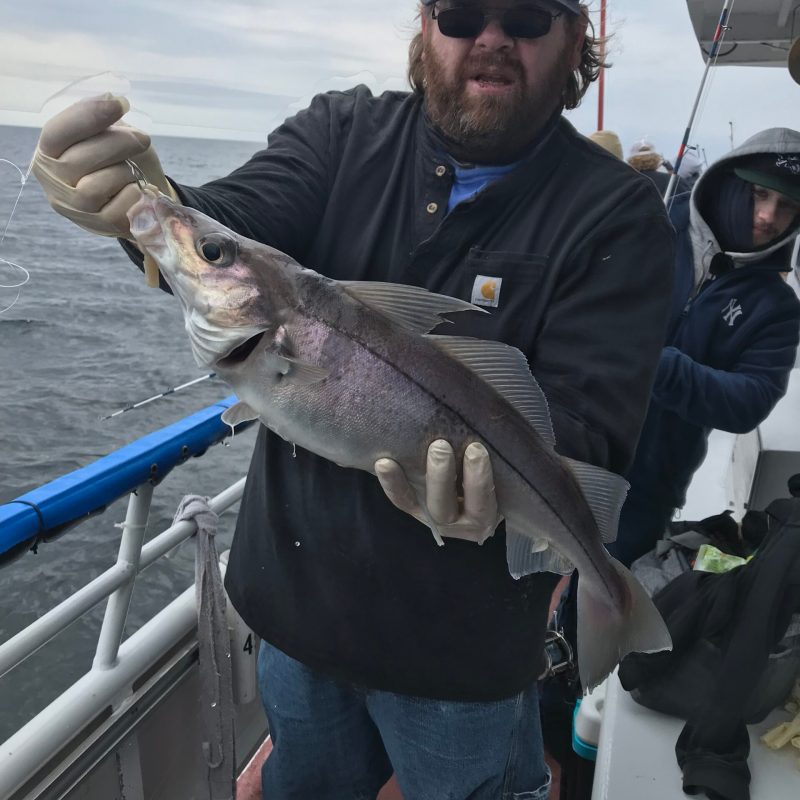 a man holding a fish