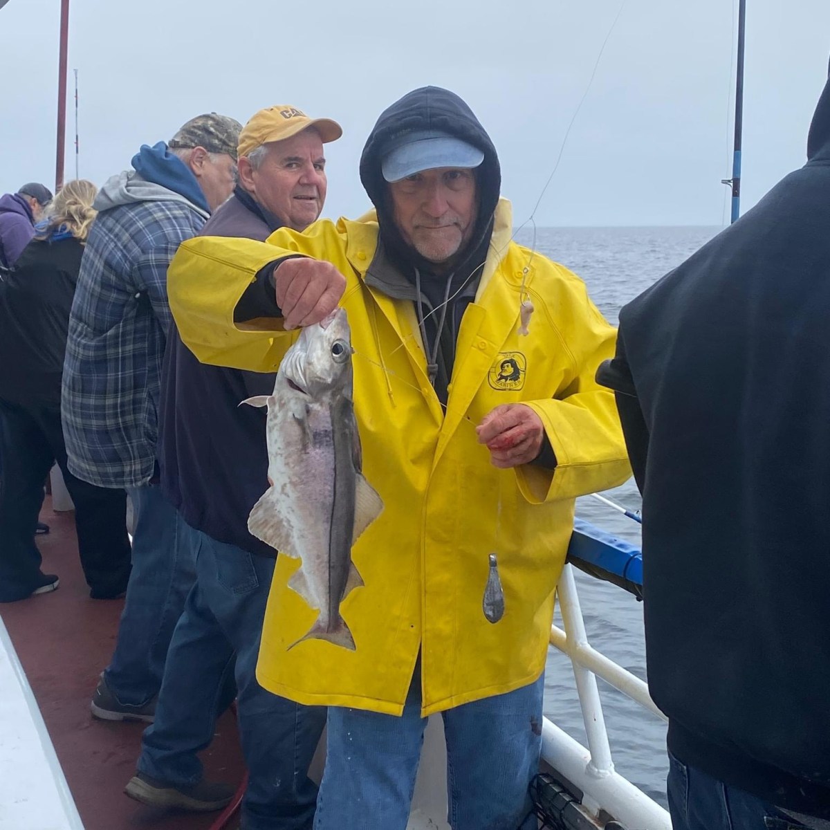 a person holding a kite