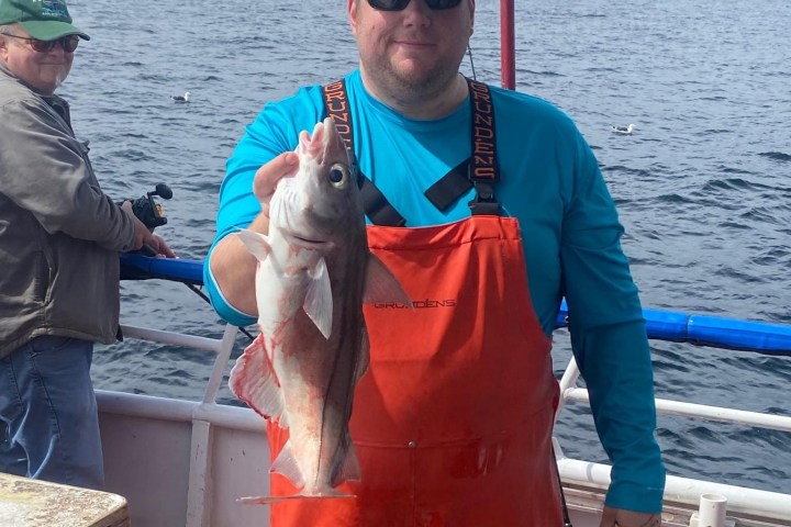 a man holding a fish in the water