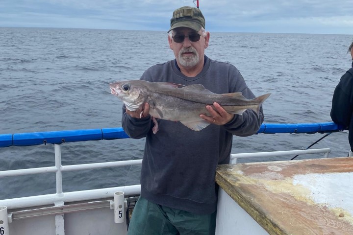 a man holding a fish on a boat in a body of water
