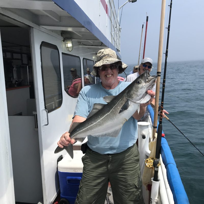a person holding a fish on a boat