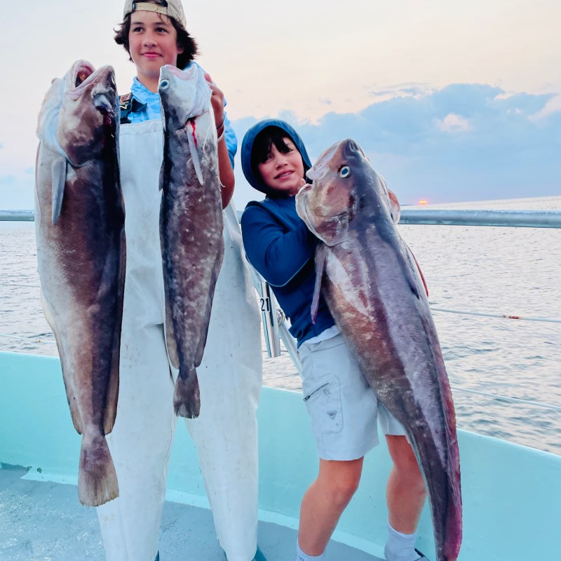 a person holding a fish in the water