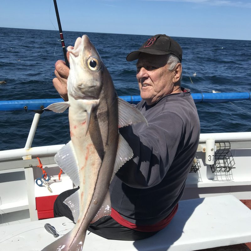 a man holding a fish in the water