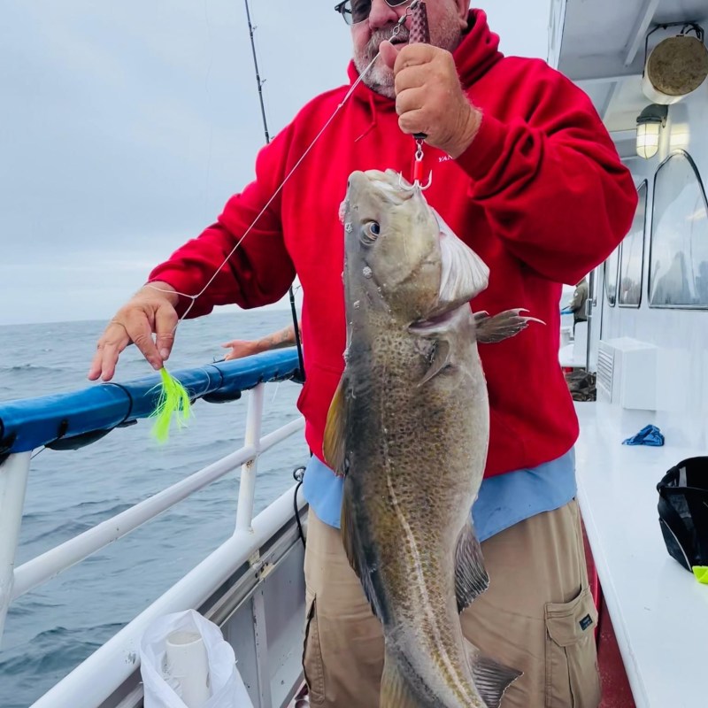 a person holding a fish