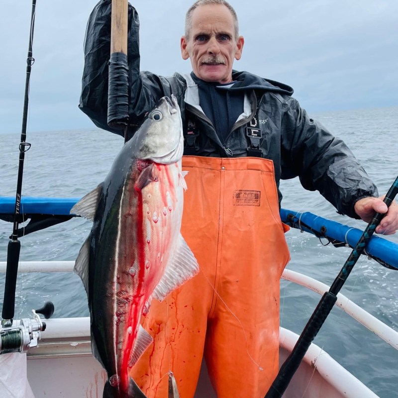 a person holding a fish on a boat in the water