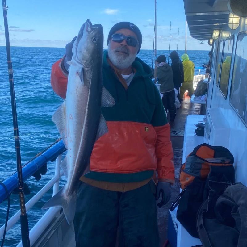 a person holding a fish on a boat posing for the camera