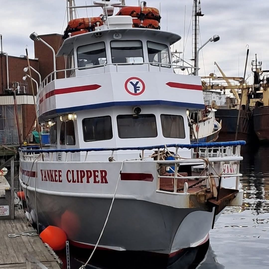 a boat docked at a dock