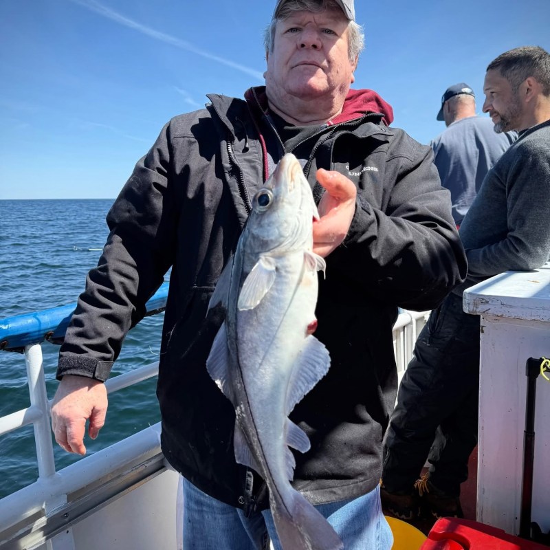a man holding a fish
