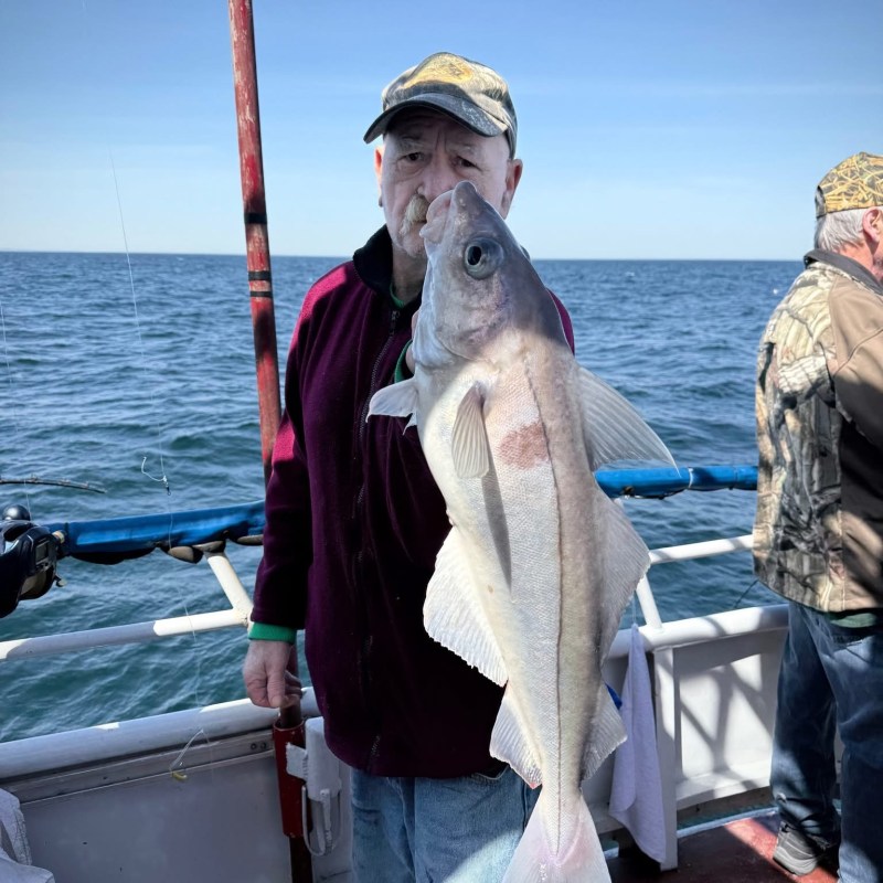 a man holding a fish on a boat in a body of water