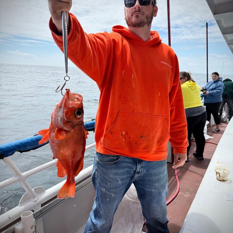 a man holding a fish in the water