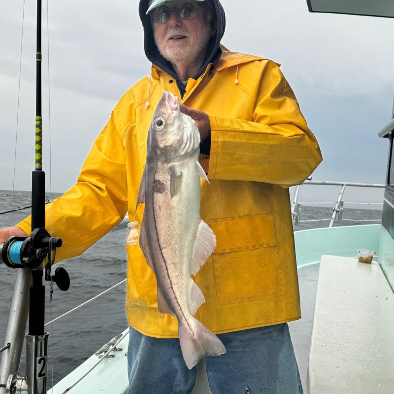 a man holding a fish