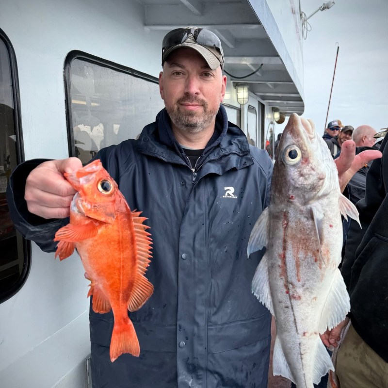 a person holding a fish