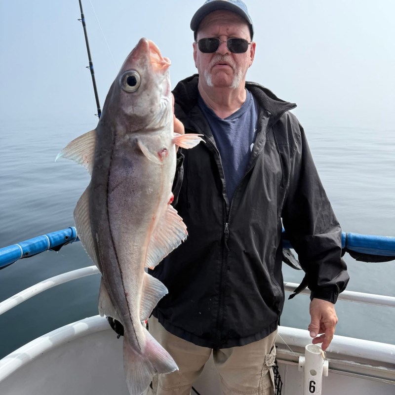 a man holding a fish in the water