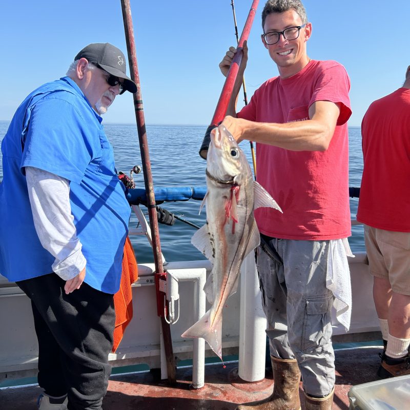 a group of people standing on top of a pole